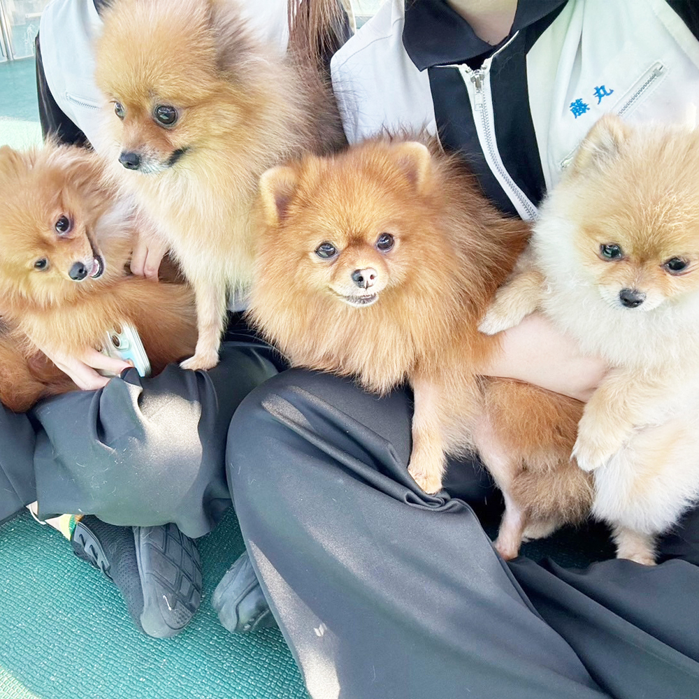 生徒が撮影したモデル犬♪②